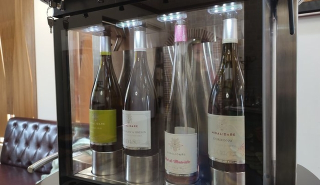 Sofia Exquisite Wine Tasting