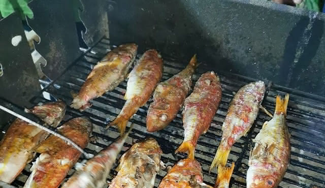 Excelencia del mar: un viaje enogastronómico en Tarento