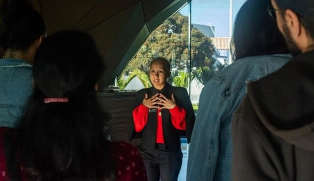 Auckland Urban Māori Experience — Small Group Tour In Auckland