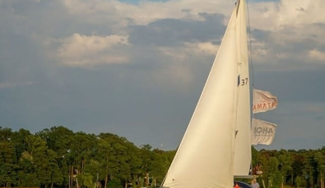Sailing and mulled wine experience