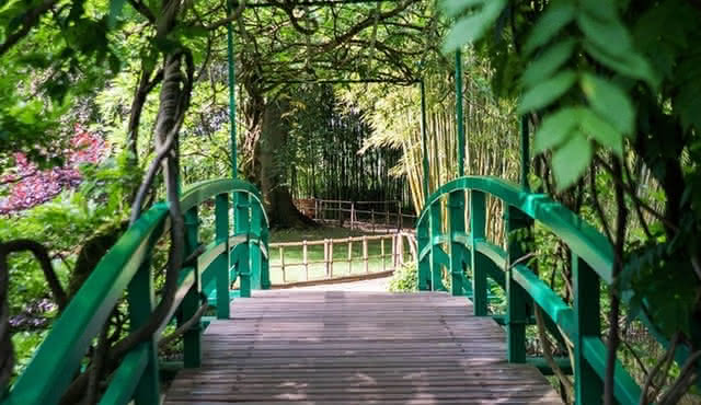 Jardins et sépulture de Monet à Giverny: visite d'une demi‐journée en petit groupe