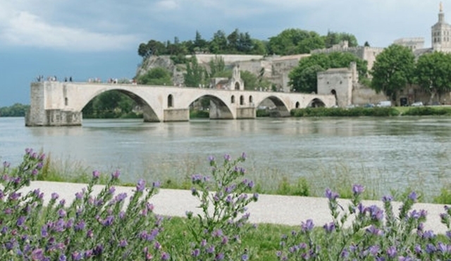 Palacio de los Papas y Puente de Avignon: Entrada