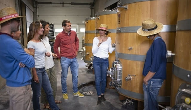 Small group tour of the wine châteaux in Montpellier