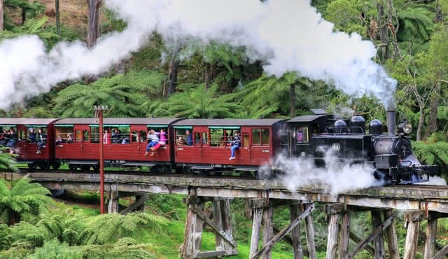 Tour panoramico in autobus di Puffing Billy e Healesville Sanctuary