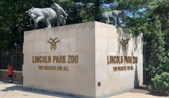 Lincoln Park Zoo Scavenger Hunt