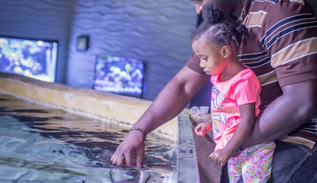 San Antonio Aquarium : Billet d'entrée
