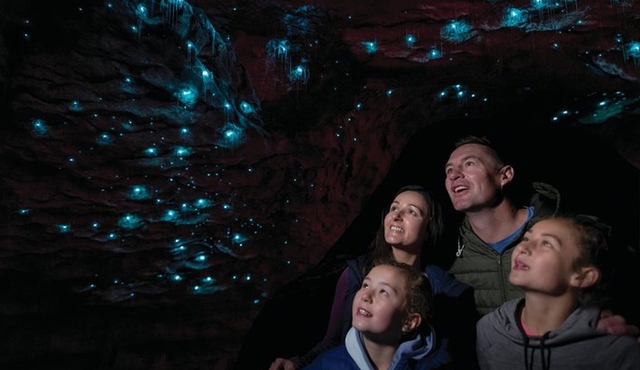 Tour delle grotte delle lucciole di Te Anau con giro in barca sul lago Te Anau