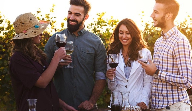 Tour di degustazione di vini a Chablis per piccoli gruppi ad Auxerre, Borgogna settentrionale