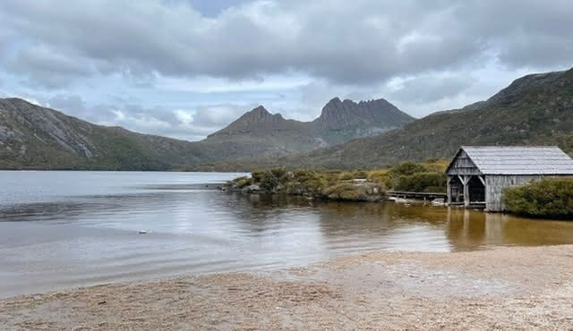 Cradle Mountain National Park Day Tour from Launceston