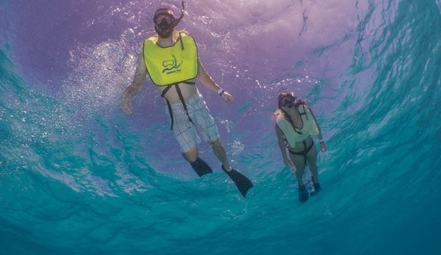 Fajardo, Porto Rico: Mattina Snorkeling Beach Tour