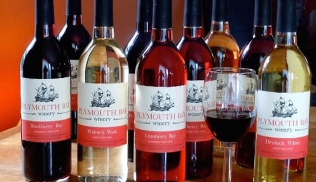 Wine and Wine Jelly‐Sauce Tasting on Plymouth Bay