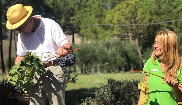 Da Siena: Pienza e Montepulciano
