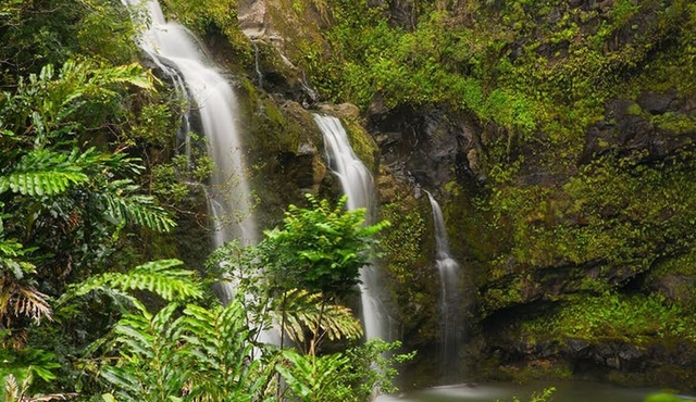 Heavenly Hana day tour