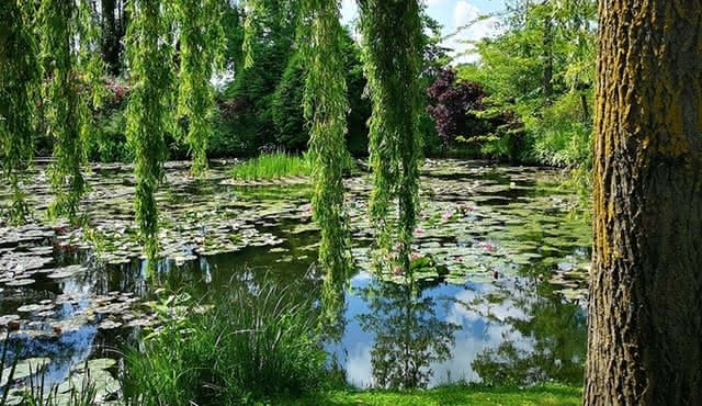 Bayeux to Rouen and Giverny Private Guided Day Trip