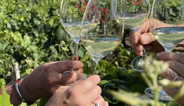Grands Crus tour in e‐Mehari and Chablis wine tasting