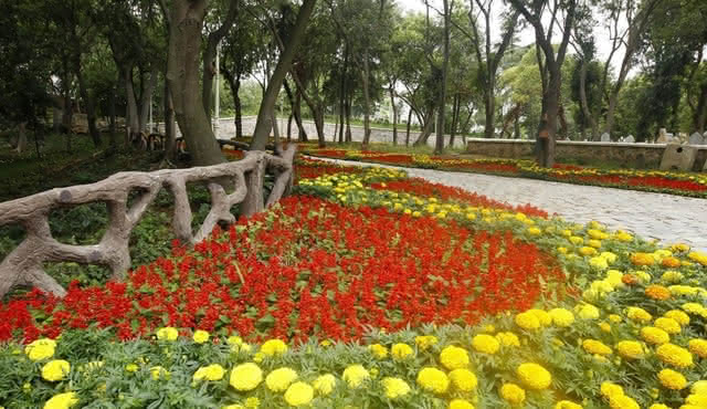 Treasures of Istanbul from Magnificent İstanbul