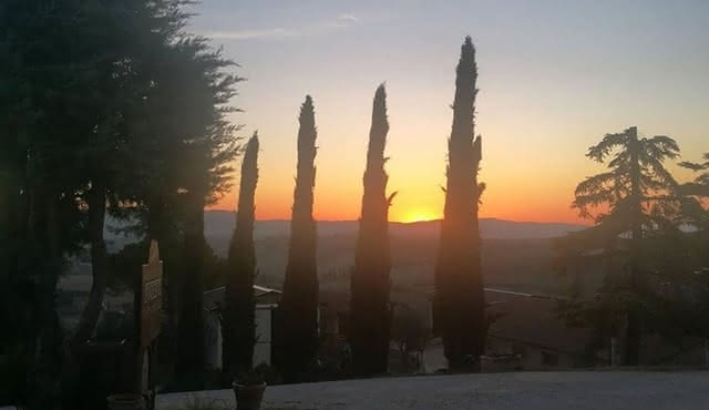 Brunello Wine Tour and Val D'Orcia Landscape