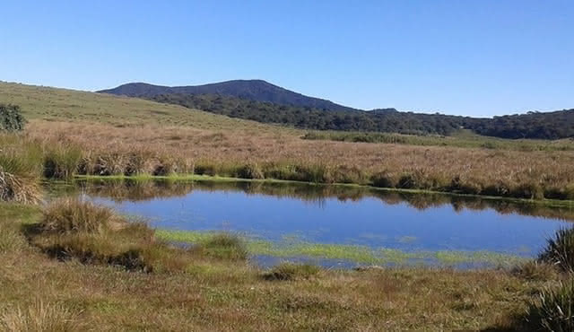Visita il parco nazionale di Horton Plains.