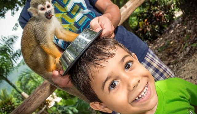 Monkeyland Safari and Coffee Plantation Tour from Punta Cana