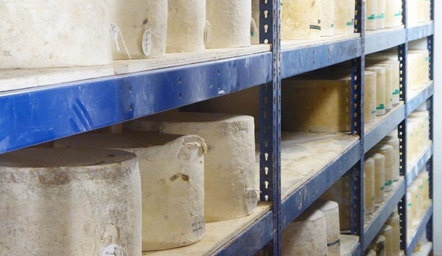 Wells, Cheddar Cheese et Cheddar Gorge — Excursion privée au départ de Bath