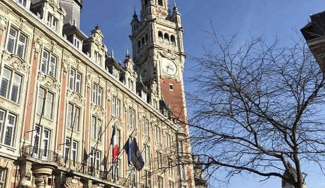 Tour storico privato a piedi a Lille