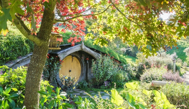 Rotorua à Auckland via Hobbiton et Waitomo