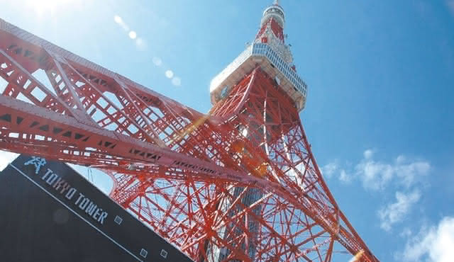 Tokyo Half‐Day Sightseeing with Tokyo Tower Tickets