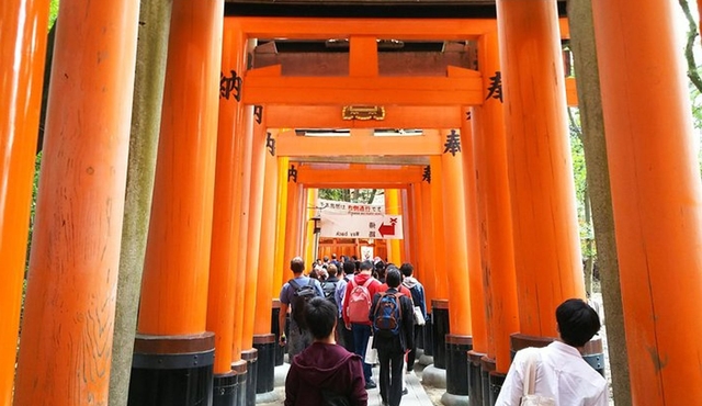 Kyoto Early Riser Golden One‐Day Walking Tour