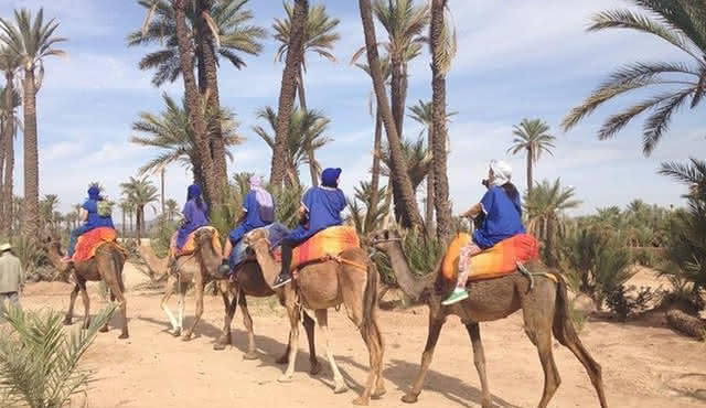 Marrakesch Kamelritt