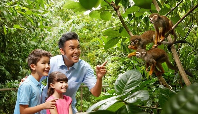 Singapore Zoo
