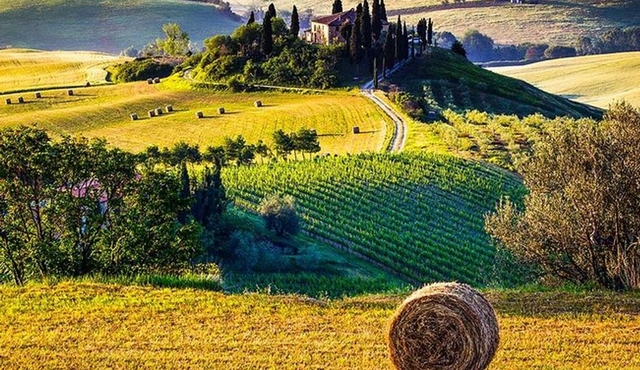 Pienza und Montepulciano Weintour ab Florenz