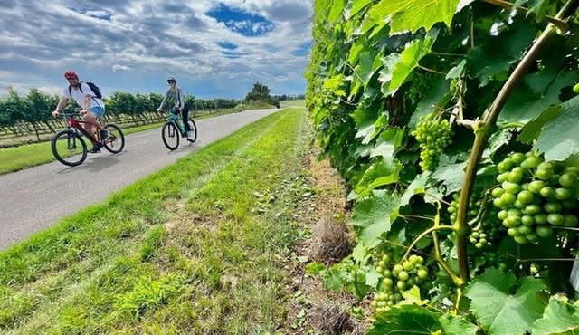 Moravian E‐Bike & Wine Day Trip From Brno