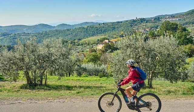 E‐Bike Adventure to Fiesole from Florence with Olive Oil Tasting