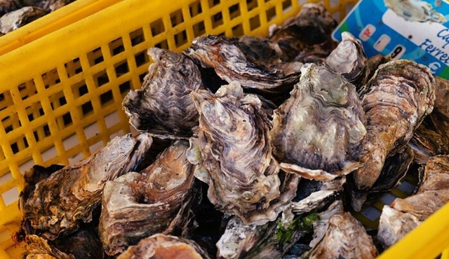 Bordeaux to Arcachon Half‐Day Trip with Pyla Dune and Oysters