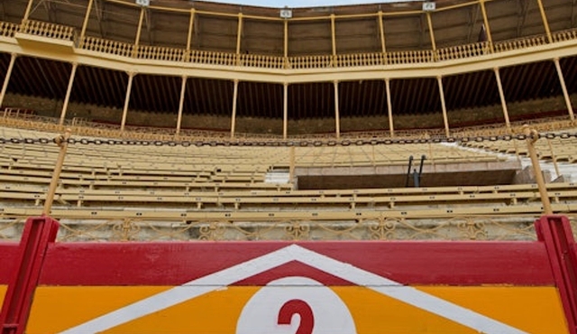 Alicante Bullring: Tour guidato privato