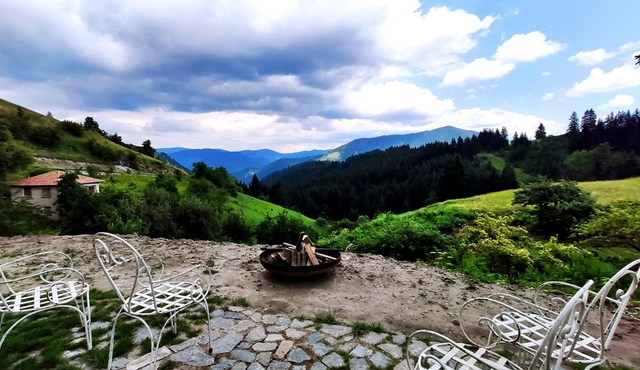Gela Tours & Activities