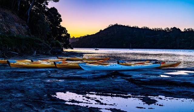 Auckland Bioluminescence Kayak Tour