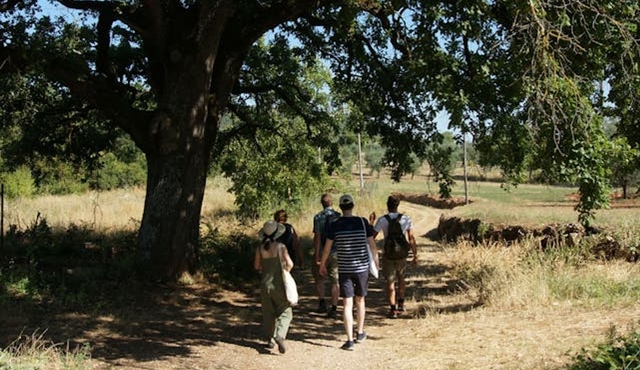 Hike from Siena to Monteriggioni with Wine Tasting