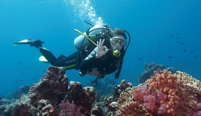 Diving Antalya Kemer