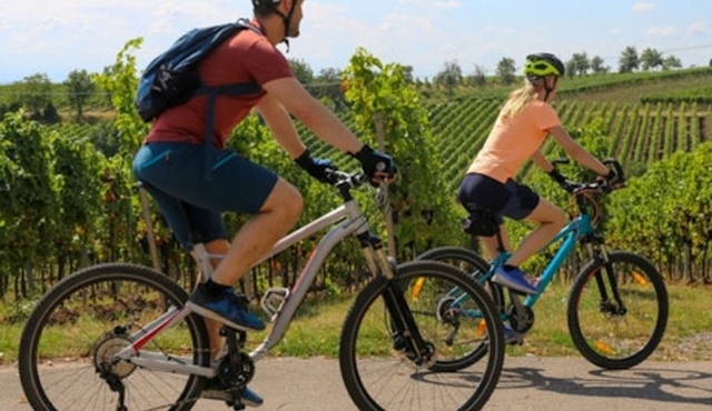 Fiesole: Guided E‐bike Tour from Florence + Olive Oil Tasting
