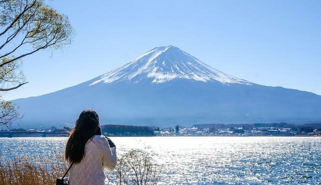 Tokyo: 4 in 1 day — Mount Fuji, Kamakura, Lake Ashi & Big Buddha