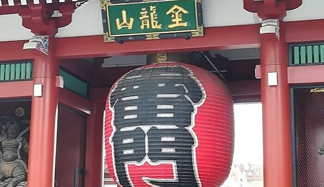 Höhepunkte von Tokio, Meiji‐Schrein, Asakusa, Ueno & Tokyo National Museum
