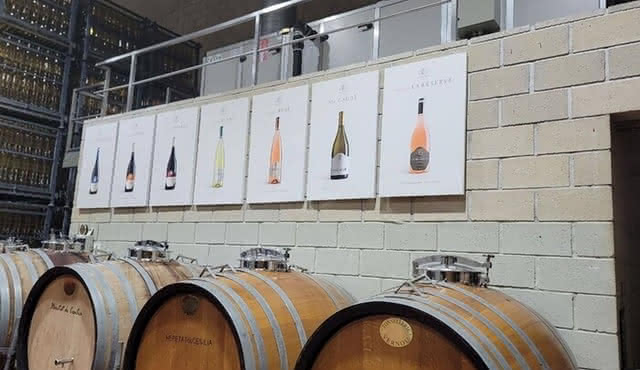 Wunderschönes Weingut in Alicante