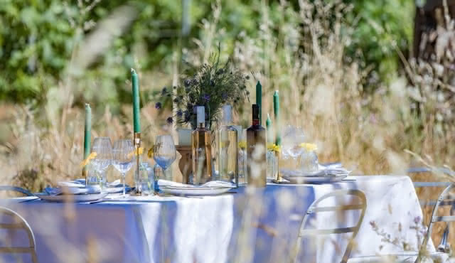 Dinner in the Vineyard Saint Tropez