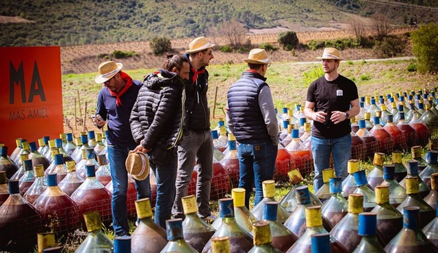 Wine Tour in Roussillon: Picnic & Tasting Day
