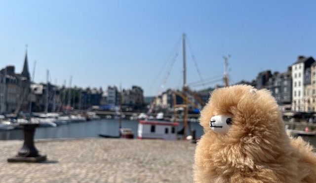 Tour guidato privato in Normandia — Rouen, Honfleur, Etretat