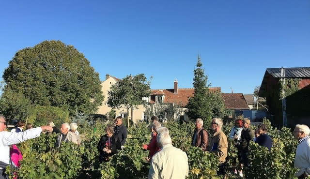 Visit of the Domaine Clotilde Davenne and Chablis wine tasting session