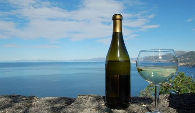 CAMOGLI: PRIVATE Ligurian Wine Tasting Experience and walking on National Park