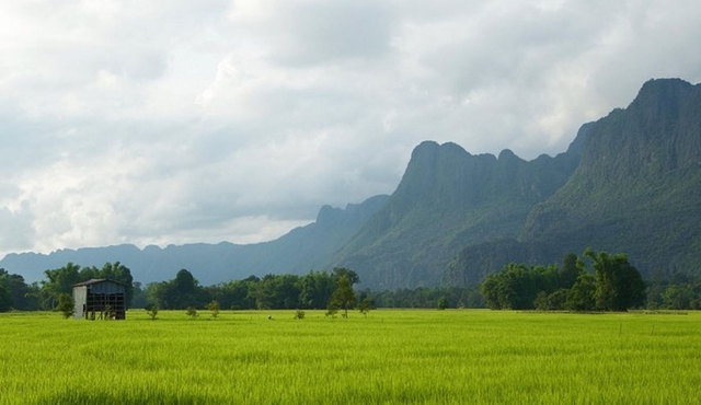 Un viaggio nel riso a Luang Prabang