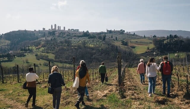 Best of Tuscany With Pisa, Siena, San Gimignano, and Chianti